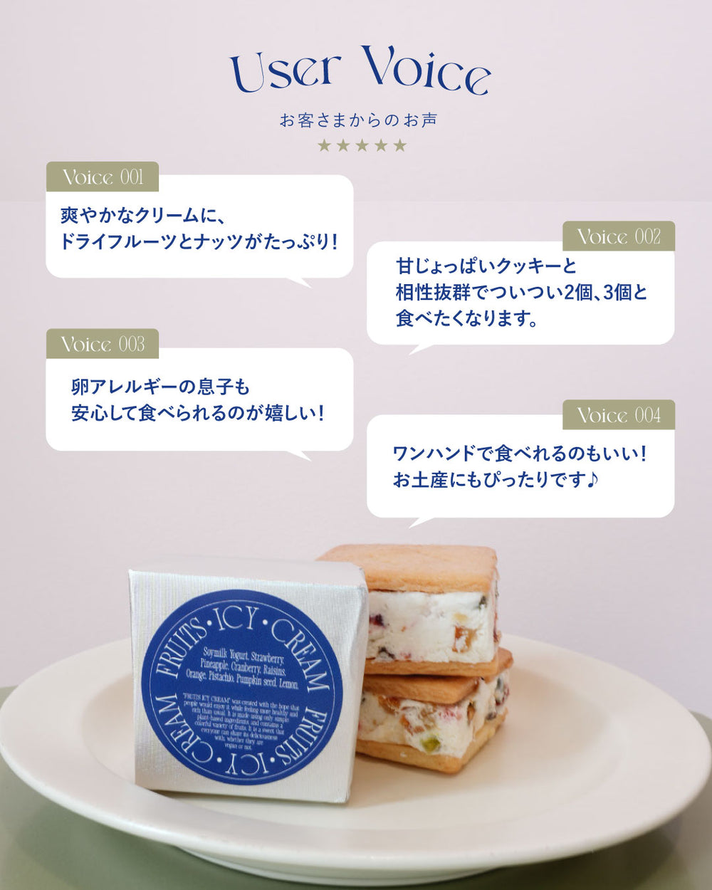 FRUITS ICY CREAM SET [フルーツアイシークリーム