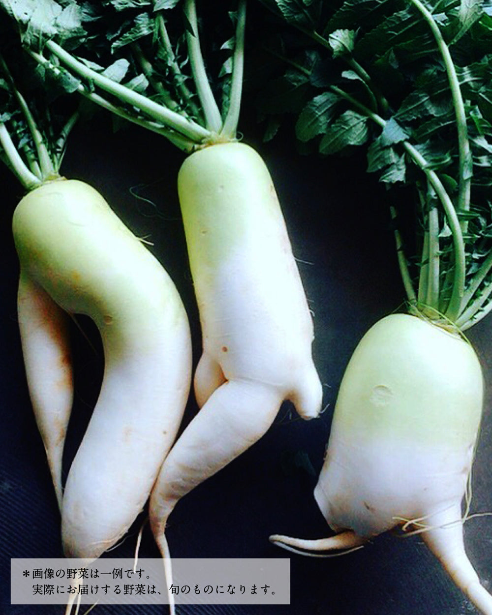 EC_.004_2abc181e-d243-4feb-